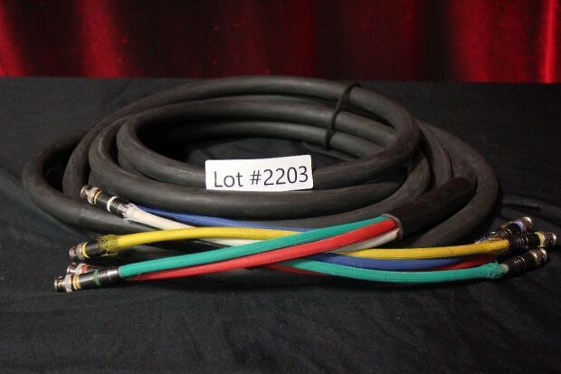 25 FOOT 5 BNC MALE RGBHV WHIP