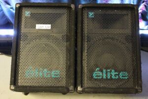 2 YORKVILLE ELITE EX351 STAGE MONITORS