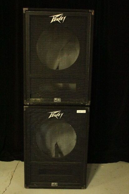 2 PEAVEY 118-SUB HC SUB CABINETS