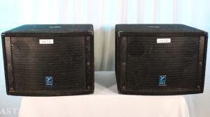 [2] YORKVILLE ÉLITE LS701P POWERED SUBWOOFERS